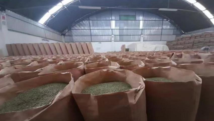 Dehydrated Oregano